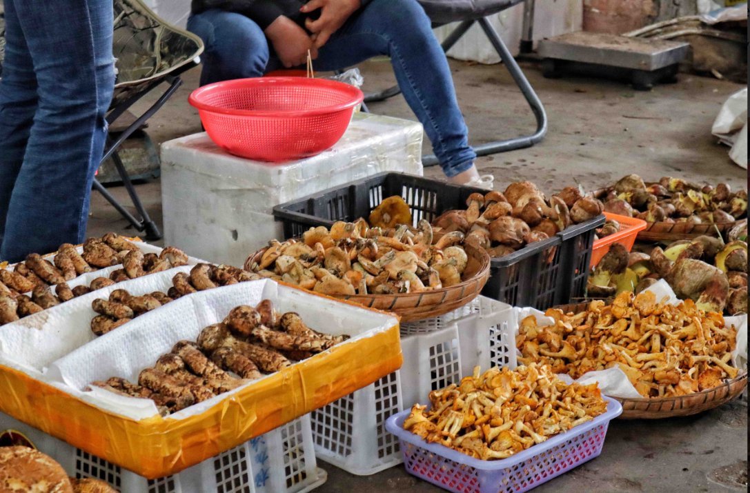 Nanhua wild mushroom market