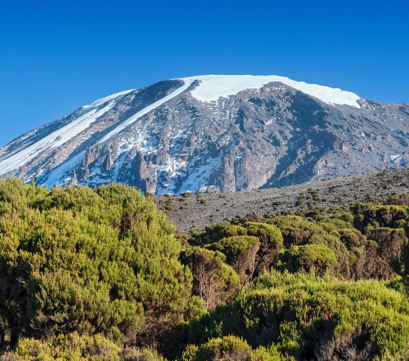 Kilimanjaro