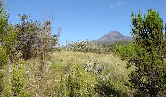 Moorland landscape