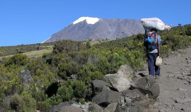 Trekker on the Lemosho route